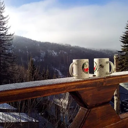 Dviletov Kutak * Kopaonik