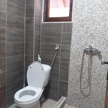 Apartment Dviletov Kutak *